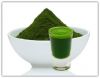 Organic Wheat Grass Powder