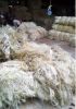 Sisal Fibre Grade UG