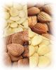 apricot kernels