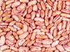 Light speckled kidney beans