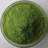 Organic Alfalfa powder 