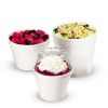 Foam Food Containers