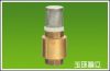Brass Check Valves