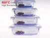 rectangle glass food contanier 4pcs set, with lock pp lid 