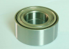 Auto Wheel Bearing (DAC30600337)