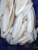 Cuttlefish bone