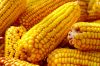 Yellow Corn