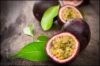 Fresh Passion Fruit (Sweet) | Fresh Fruit