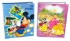 File Folder