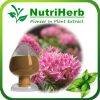 Natural Rhodiola Rosea Extract 3% Rosavins