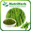 Organic Green Barley G...