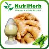 Natural Ginger root ex...