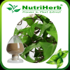 Ivy Leaf Extract 10% H...