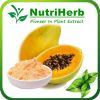 Dried Papaya Powder /P...