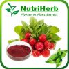 Natural Radish Red Pig...