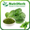 Dehydrated Spinach Pow...
