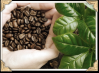 100% Arabica Bresilian Coffee