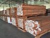 Eucalyptus poles and f...
