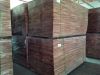 Eucalyptus poles and f...