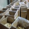 Premium Bulk White Dri...