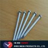 Low price high quality galvanized concrete nails