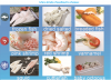 frozen seafood