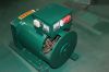Hot QW Series ST/STC equalvalent output synchronous brush alternator