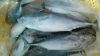 bonito tuna