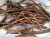 Licorice root