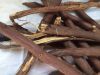 Licorice root