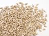 Sunflower Kernels