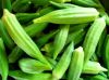 Okra vegetable