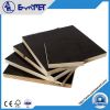 1220*2440*18MM Black/ Brown Poplar Core Film Faced Plywood with Melamine Glue from Direct Manufacture