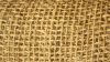 COIR NET