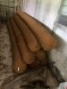 COIR LOG