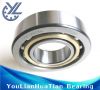 Single Row Angular Contact Ball Bearing 7305