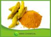 curcumin extract