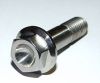 Titanium Fasteners