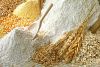 Russian Wheat Flour