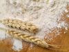 Russian Wheat Flour