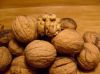 NATURAL DRIED WALNUT K...