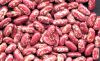 Red Speckled Beans, Pi...