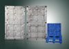 Structure foam pallet molds