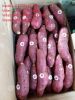 Export fresh sweet potatoes/ sweet potato , good price and good quality