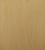 birch/maple melamine laminated plywood