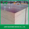 cheap price finger joint film faced plywood