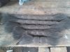 Arenga Fibre
