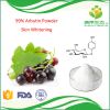 Bearberry extract 99% alpha arbutin powder