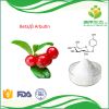 Bearberry extract 99% alpha arbutin powder