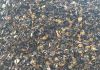 Cashew Shell Waste Sup...